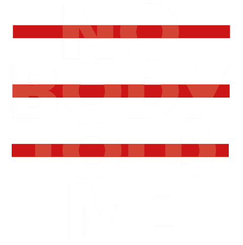 Logo Nobodytoldme